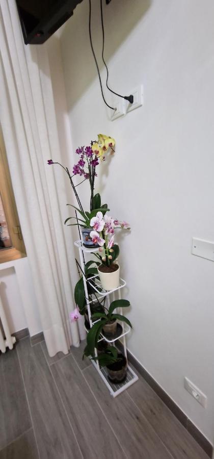 Bed and Breakfast Orchidea Болонья Экстерьер фото